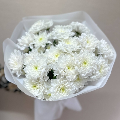 Хризантема кустовая 7 шт. 